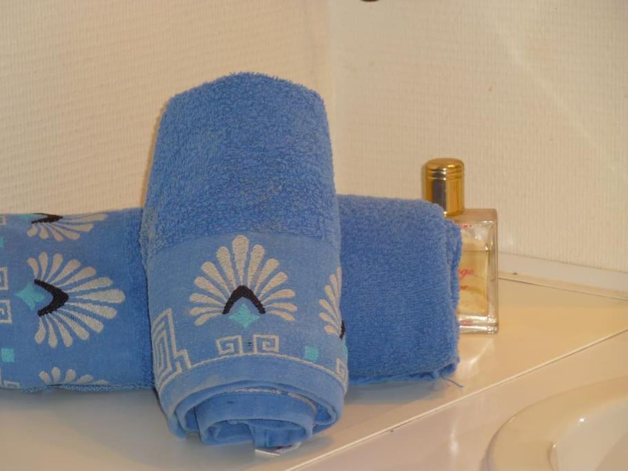 Chambre Chez L'Habitant - Proche Du Centre - Salle D'Eau Et Wc Prives Бордо Экстерьер фото
